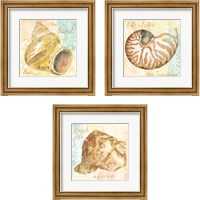 Framed 'Golden Treasures Inspiration  3 Piece Framed Art Print Set' border=