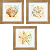 Framed 'Golden Treasures 3 Piece Framed Art Print Set' border=