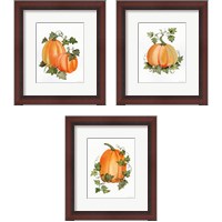 Framed 'Pumpkin and Vines 3 Piece Framed Art Print Set' border=