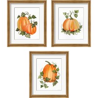 Framed 'Pumpkin and Vines 3 Piece Framed Art Print Set' border=