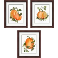 Framed 'Pumpkin and Vines 3 Piece Framed Art Print Set' border=