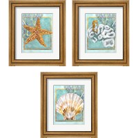 Framed 'Coral and Seahorse 3 Piece Framed Art Print Set' border=