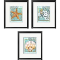 Framed 'Coral and Seahorse 3 Piece Framed Art Print Set' border=