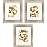 Framed 'Small Hummingbird Reverie 3 Piece Framed Art Print Set' border=