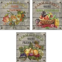 Framed 'Farm to Table 3 Piece Art Print Set' border=