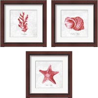 Framed 'Red Sea Life 3 Piece Framed Art Print Set' border=