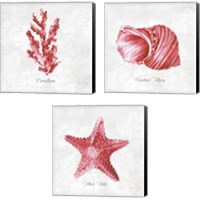 Framed 'Red Sea Life 3 Piece Canvas Print Set' border=