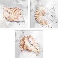 Framed 'Blush Shell 3 Piece Art Print Set' border=