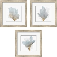 Framed 'Delicate Coral  3 Piece Framed Art Print Set' border=