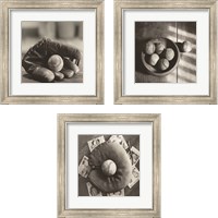 Framed 'Baseball Nostalgia 3 Piece Framed Art Print Set' border=