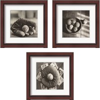 Framed 'Baseball Nostalgia 3 Piece Framed Art Print Set' border=