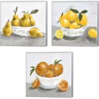 Framed 'Fruit Bowl 3 Piece Canvas Print Set' border=