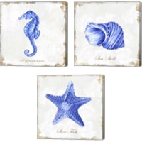 Framed 'Blue Sea Life 3 Piece Canvas Print Set' border=