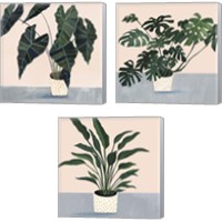 Framed 'Houseplant  3 Piece Canvas Print Set' border=