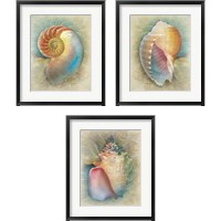 Framed 'Aquatica  3 Piece Framed Art Print Set' border=