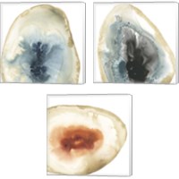 Framed 'Cropped Geodes 3 Piece Canvas Print Set' border=