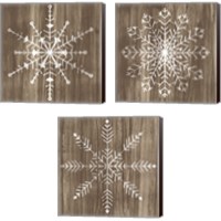 Framed 'Barnwood Wonderland 3 Piece Canvas Print Set' border=