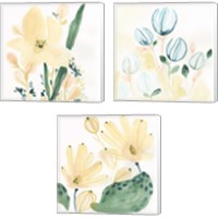 Framed 'Garden Essence 3 Piece Canvas Print Set' border=