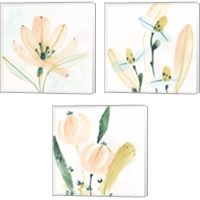 Framed 'Garden Essence 3 Piece Canvas Print Set' border=