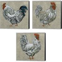 Framed 'Roost  3 Piece Canvas Print Set' border=