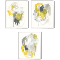 Framed 'Arbitrary Consent 3 Piece Canvas Print Set' border=