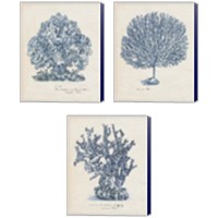 Framed 'Sea Coral Study 3 Piece Canvas Print Set' border=