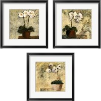 Framed 'Orchid Textures 3 Piece Framed Art Print Set' border=