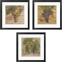 Framed 'Grape Crate 3 Piece Framed Art Print Set' border=