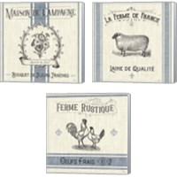 Framed 'French Farmhouse 3 Piece Canvas Print Set' border=