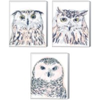 Framed 'Funky Owl Portrait 3 Piece Canvas Print Set' border=