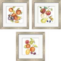 Framed 'Harvest Medley 3 Piece Framed Art Print Set' border=