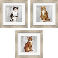 Framed 'Country Kitty on Wood 3 Piece Framed Art Print Set' border=