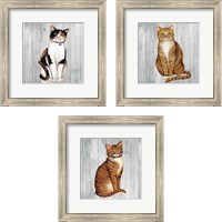 Framed 'Country Kitty on Wood 3 Piece Framed Art Print Set' border=