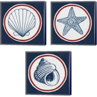 Framed 'Summer Shells Nautical 3 Piece Canvas Print Set' border=