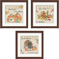 Framed 'Be Thankful 3 Piece Framed Art Print Set' border=