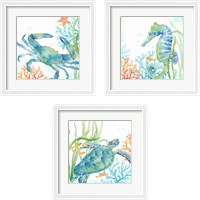 Framed Sea Life Serenade 3 Piece Framed Art Print Set