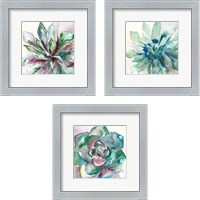 Framed 'Succulent Watercolor  3 Piece Framed Art Print Set' border=