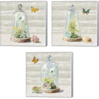 Framed 'Succulent Garden 3 Piece Canvas Print Set' border=