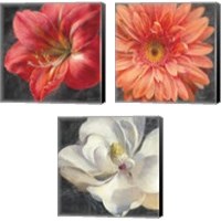 Framed 'Vivid Floral 3 Piece Canvas Print Set' border=