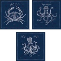 Framed 'Underwater Life Navy 3 Piece Art Print Set' border=