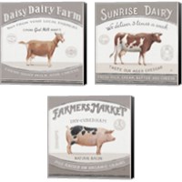 Framed 'Vintage Farm 3 Piece Canvas Print Set' border=