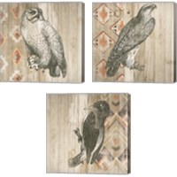 Framed 'Natural History Lodge Southwest 3 Piece Canvas Print Set' border=