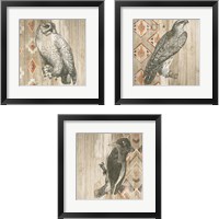 Framed 'Natural History Lodge Southwest 3 Piece Framed Art Print Set' border=