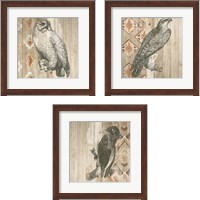 Framed 'Natural History Lodge Southwest 3 Piece Framed Art Print Set' border=