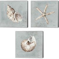 Framed 'Sand and Seashells  3 Piece Canvas Print Set' border=