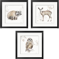 Framed 'Woodland Walk 3 Piece Framed Art Print Set' border=