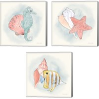 Framed 'Sea Life 3 Piece Canvas Print Set' border=