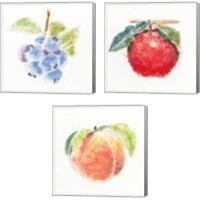 Framed 'Garden Delight 3 Piece Canvas Print Set' border=