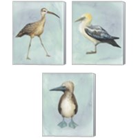 Framed 'Watercolor Beach Bird 3 Piece Canvas Print Set' border=