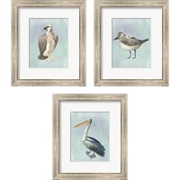 Framed 'Watercolor Beach Bird 3 Piece Framed Art Print Set' border=